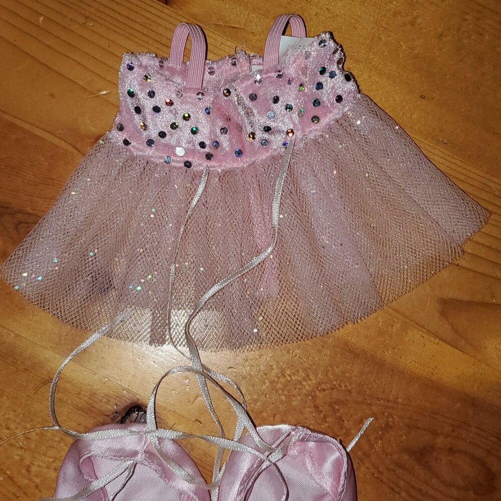 Tweakie P. Pink Collette Poodle 13" Ballerina Phebe Phillips Dress & Shoes